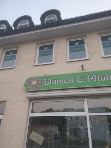 Blumenhaus Fehlhaber