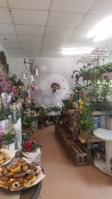 Blumen & Floristik Pusteblume Susann Wilhelm