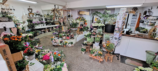Flora