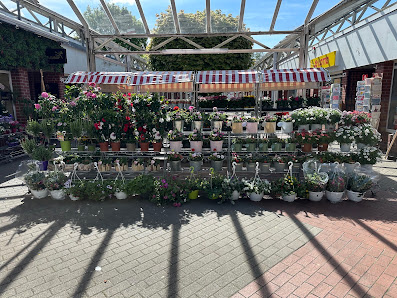 Blumen Planet