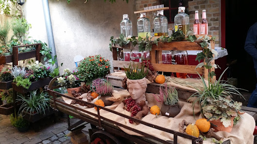 Blumen& Terrakottahof Bouchon