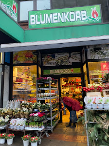 Blumenkorb Harburg