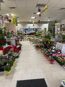 Pham Blumen und Pflanzen