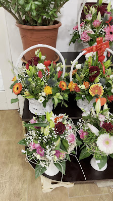 Blumen & Pflanzen