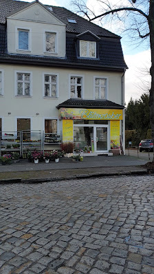 Blütenzauber