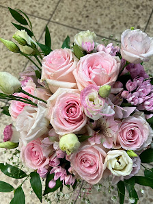 Blumen und Pflanzen