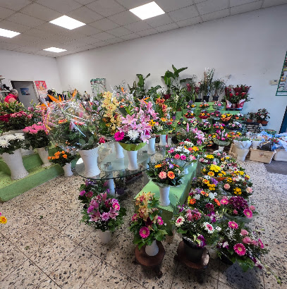 Blumenladen am Bahnhof Hönow
