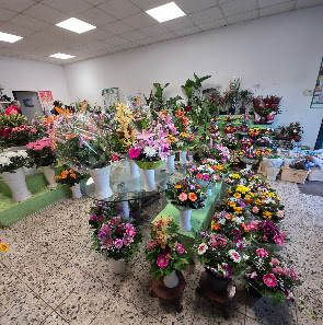 Blumenladen am Bahnhof Hönow