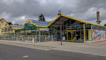 Blumengeschäft