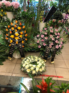 Blumen & Pflanzen (neben Apotheke)