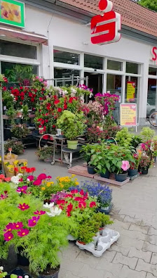 Viet Anh Blumen Werneuchen