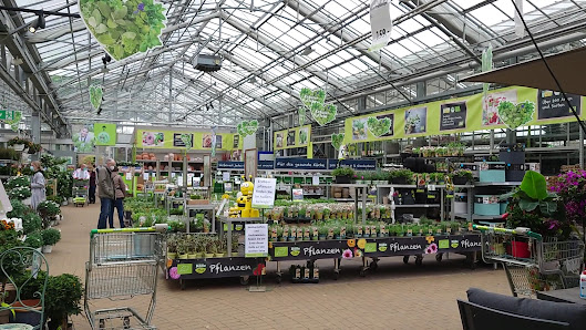Pflanzen-Kölle Gartencenter GmbH & Co. KG Berlin - Wildau
