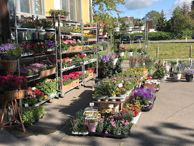 Blumen & Pflanzen