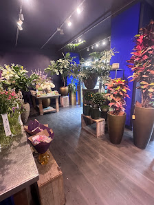 Blumen-Koch Berlin