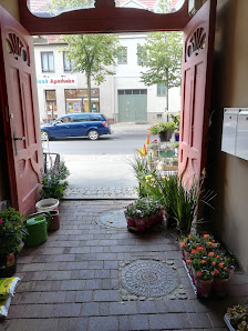 Heimschmuck und Blumen