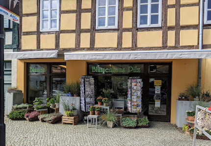 Blumenhaus Pilz