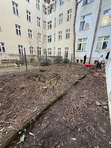 BDZ Flächenfreimachung | Rodung-Baufeldräumung-Abriss
