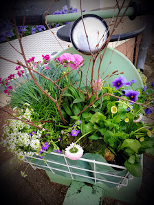 Blumenhandel Zahn GbR Sonnenblume