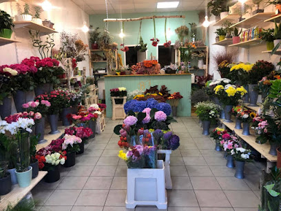 B3 Blumen und Pflanzen