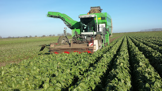 SL Gartenbau GmbH