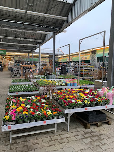 OBI Gartencenter Schorfheide OT Finowfurt