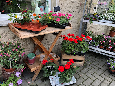Schuberts Blumenland