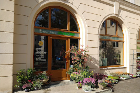 Blumenhaus Löwenzahn