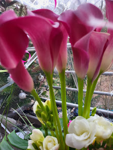 Blumenkorb "Blumen/Gärtnerei" Inh. Gisela Kestein