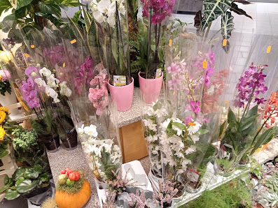 Schierz Blumen OHG