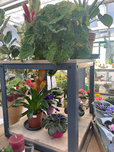 Gartencenter Haering