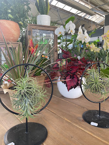 Gartencenter Haering