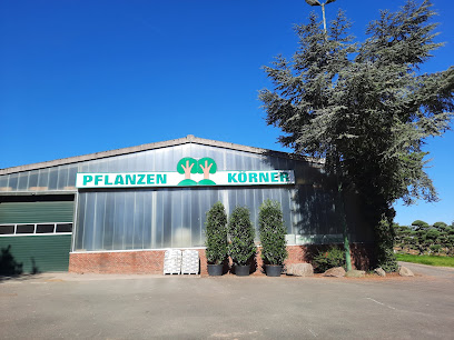 Pflanzen Körner