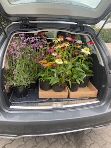 Gawenda GaHa Gartenbau und Handels GmbH - Gärtnerei Gawenda