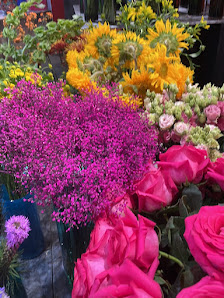 Zinnober Blumen