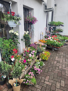 Blumenliebe Susanne Müller