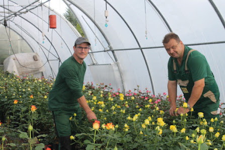 Blumenhaus Wosch