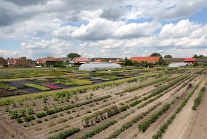 Gartenbauer