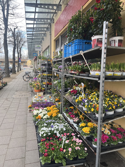 Blumengeschäft