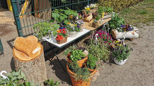 Gärtnerei Ricky's Plant & Wood Art