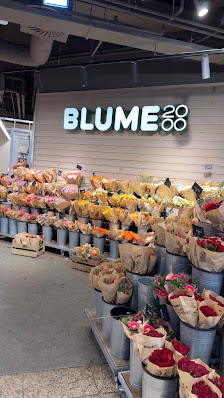 BLUME2000 Hamburg Alstertaler Einkaufszentrum Haupteingang