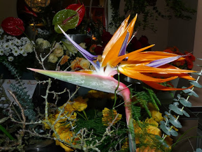 BB-Flowers