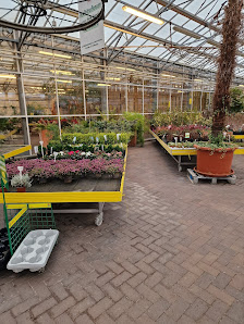 Gartencenter Baumert