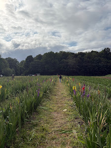 Blumenfeld Gut Stellmoor