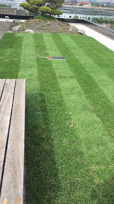 Michael Mobiler Gartenservice