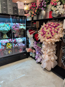 Blumen Lotus