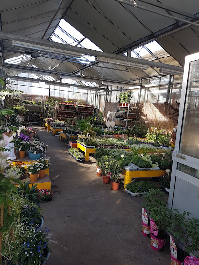 Blumengeschäft