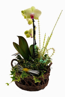 Kahns Blumen & Pflanzenservice GmbH