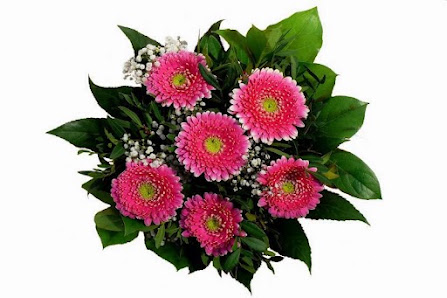 Kahns Blumen & Pflanzenservice GmbH