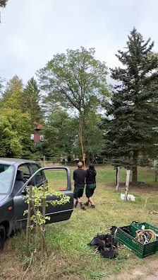 KÜHNE Garten Grünheide - Grünpflege, Baumdienst, Gartenbau