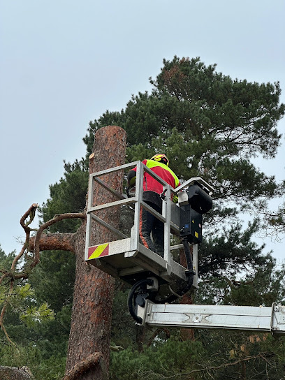 Betrieb für Baumarbeiten in Münchehofe